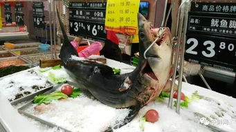 超實用的海鮮水產品陳列全攻略，讓魚蝦蟹成為超市吸金石